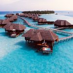 brown wooden cottage on blue body water