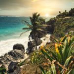 green palm tree near body of water