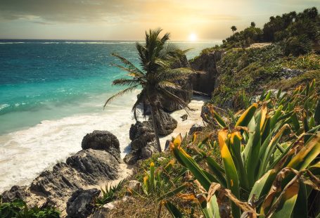 green palm tree near body of water