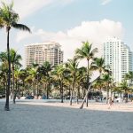 palm trees near buildings