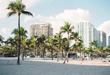 palm trees near buildings