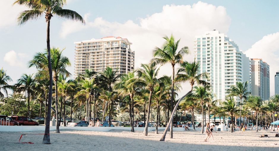 palm trees near buildings