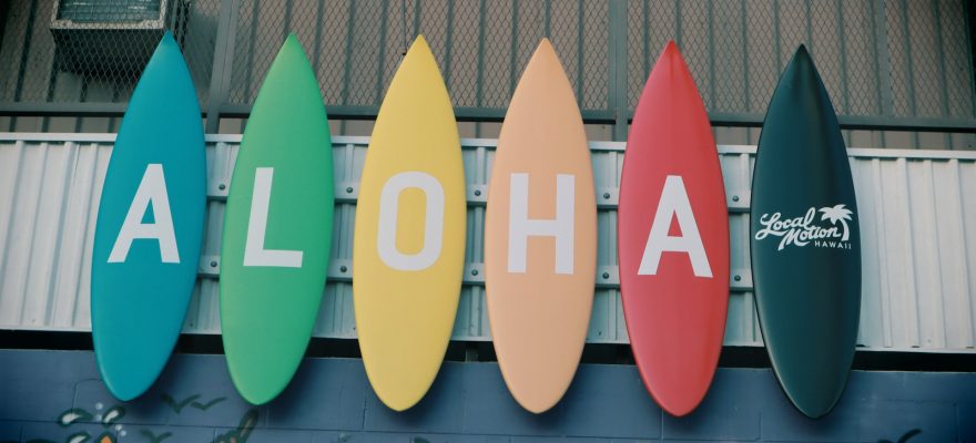 yellow blue and red shaped plastic decors